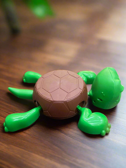 Turtle Coaster- Eye Popping