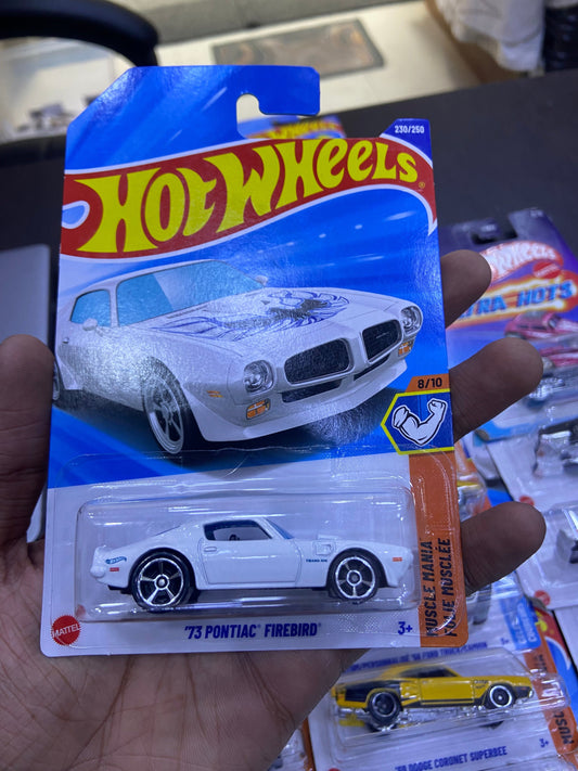 73 Pontiac Hot Wheels