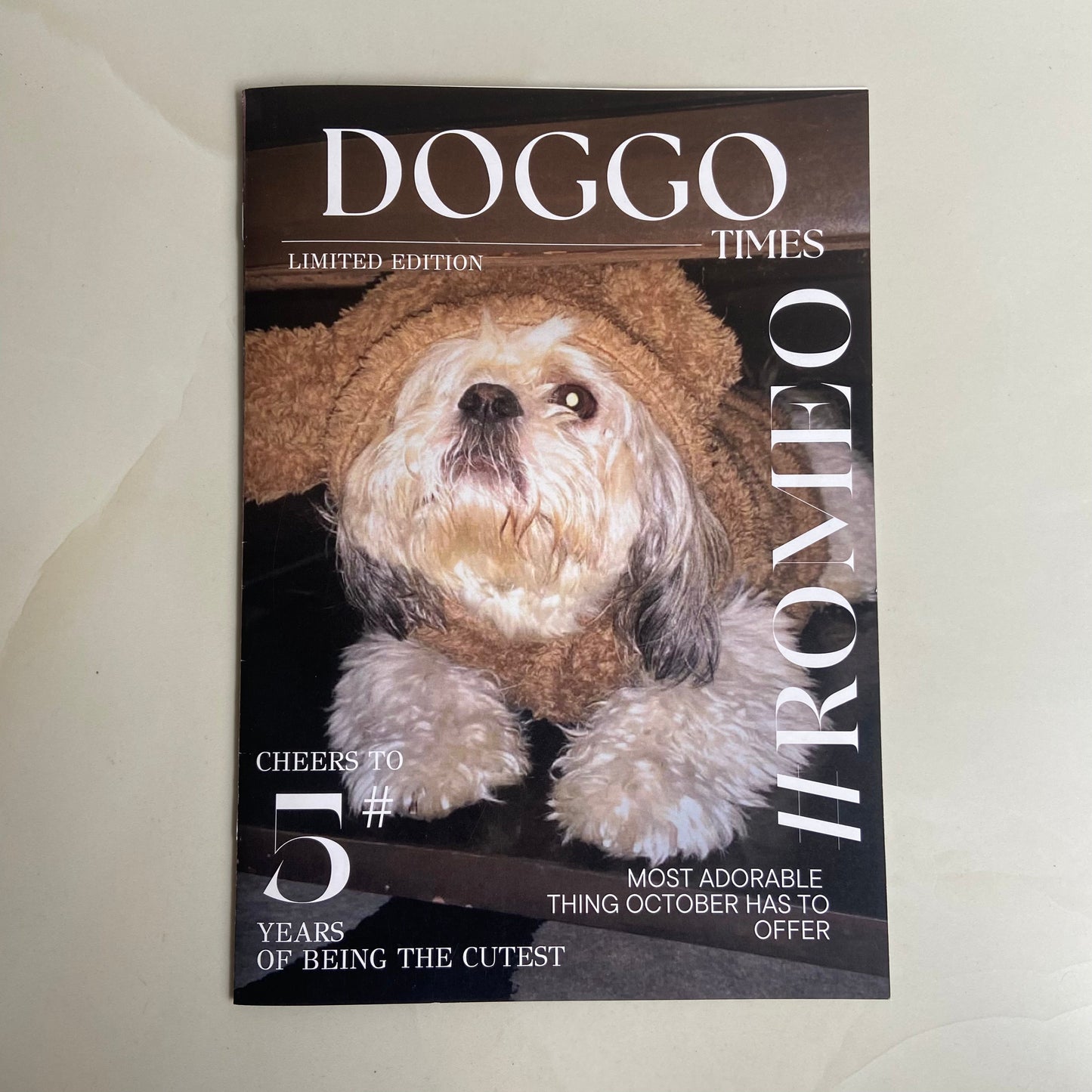 Customised Pet Magazine